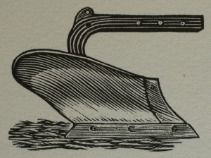 Roots to the Earth 12