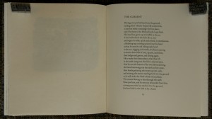 Roots to the Earth 4