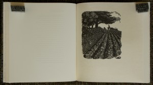 Roots to the Earth 5