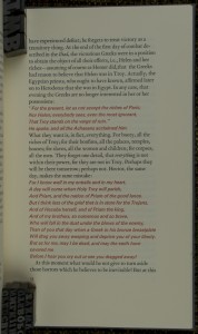 Weil Iliad 4