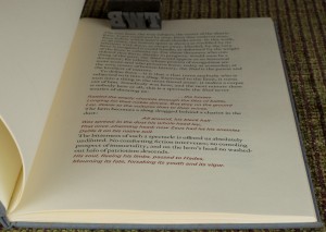 Weil Iliad 7