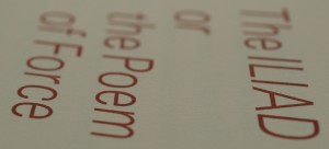 Weil Iliad 9